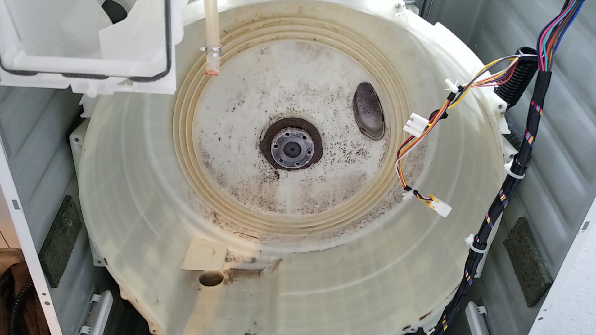 弥富市パナソニックドラム洗濯機分解クリーニング